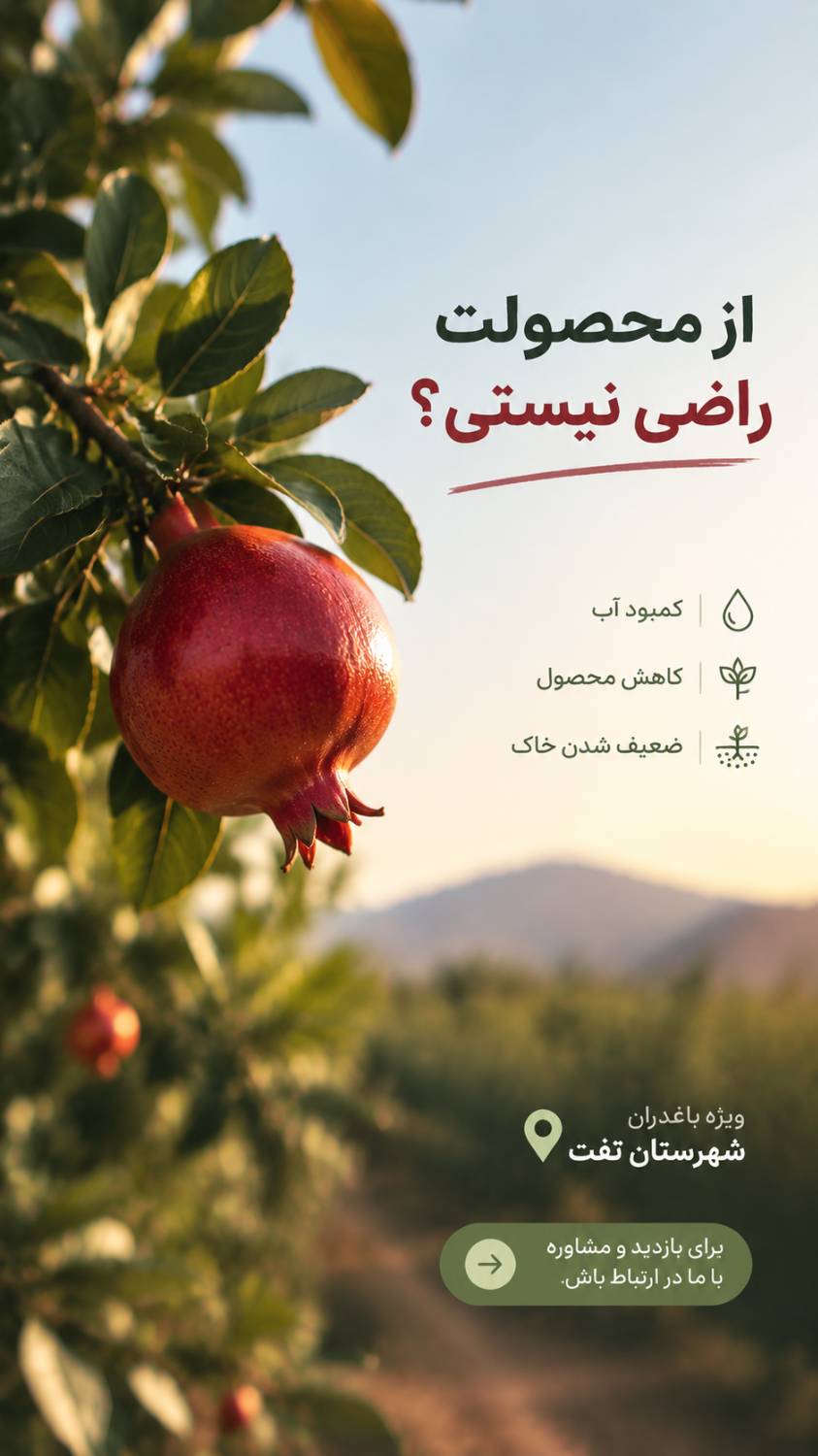بهبود شرایط خاک و بهره‌وری باغ — عکس ۱