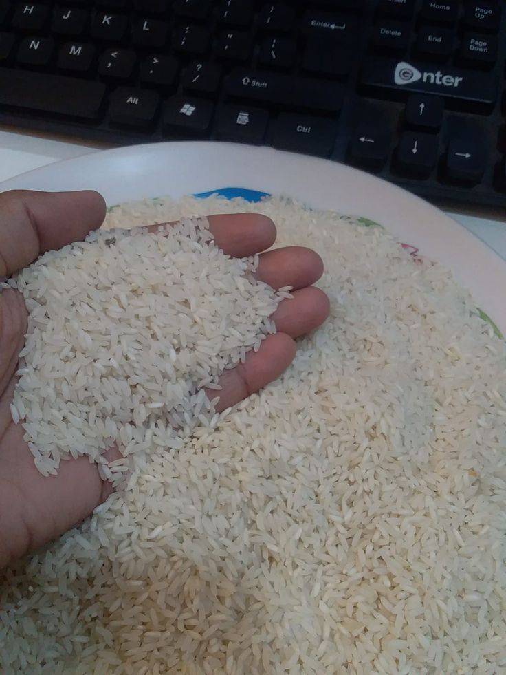 برنج عطر دورود — عکس ۱